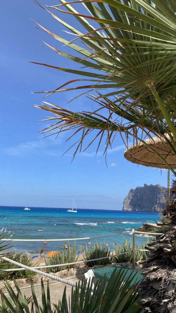Housesitting auf Mallorca - die Aussicht auf türkisblaues Meer gibt es gratis dazu.