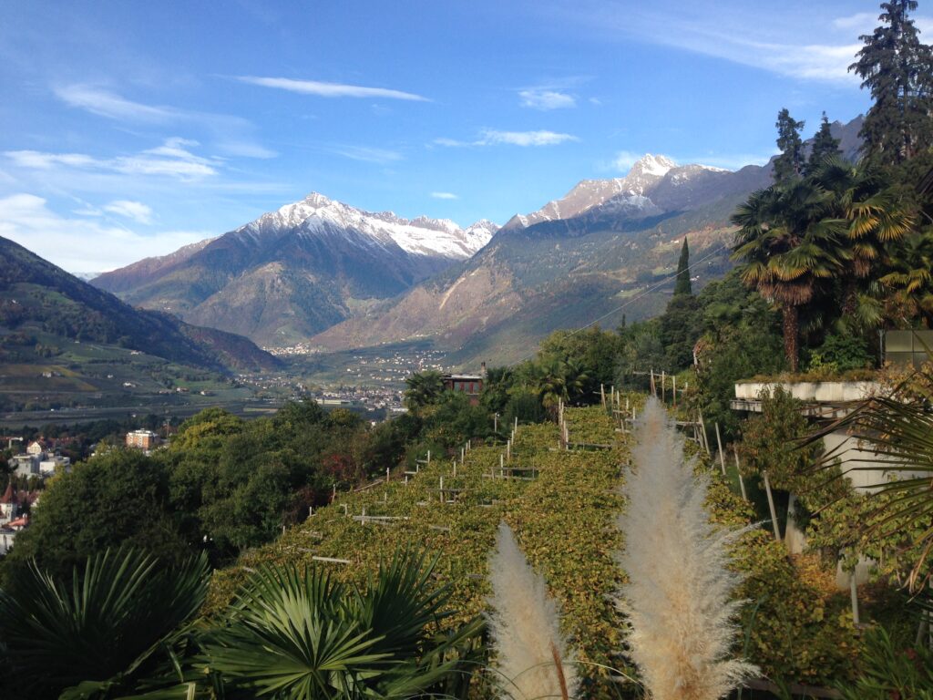 Weinberge und Wandern, perfekte Kombi beim Housesitting Europa.