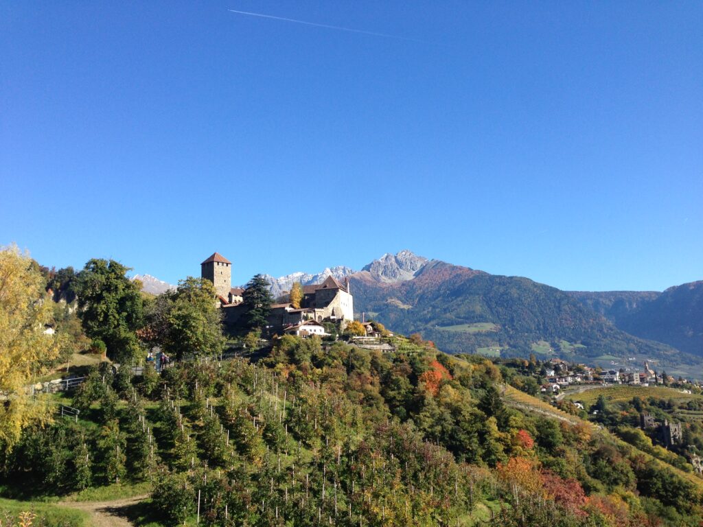Housesitting Europa, speziell Italien kulinarisch für uns ein absolutes Highlight.